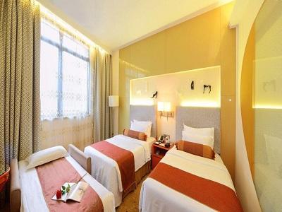Metropole 3*