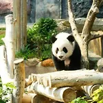 Inn Hotel Macau