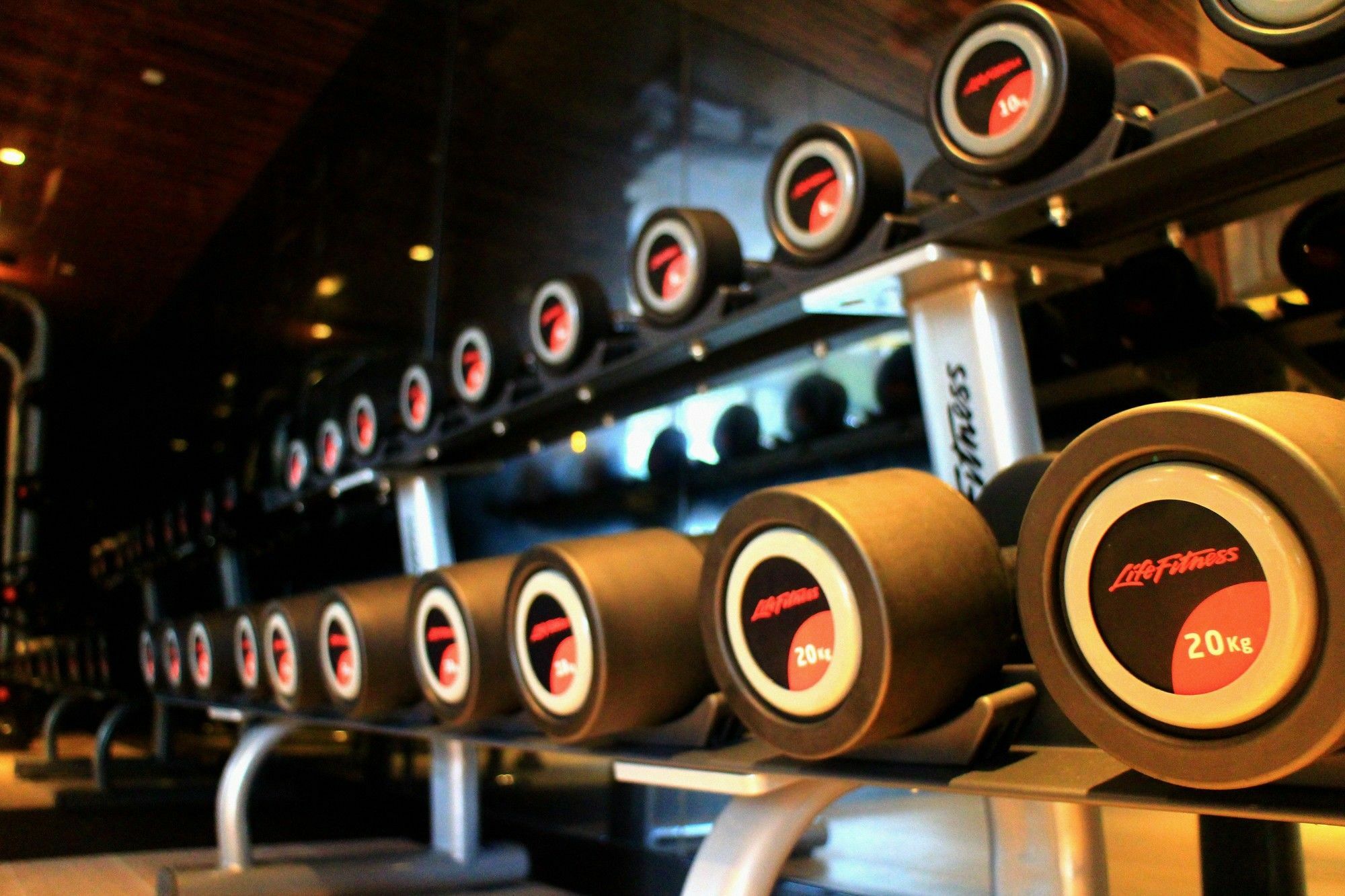Hotel Yoho Hollywood Roosevelt 5*